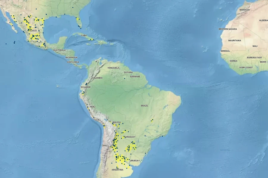Cenchrus myosuroides Native Range