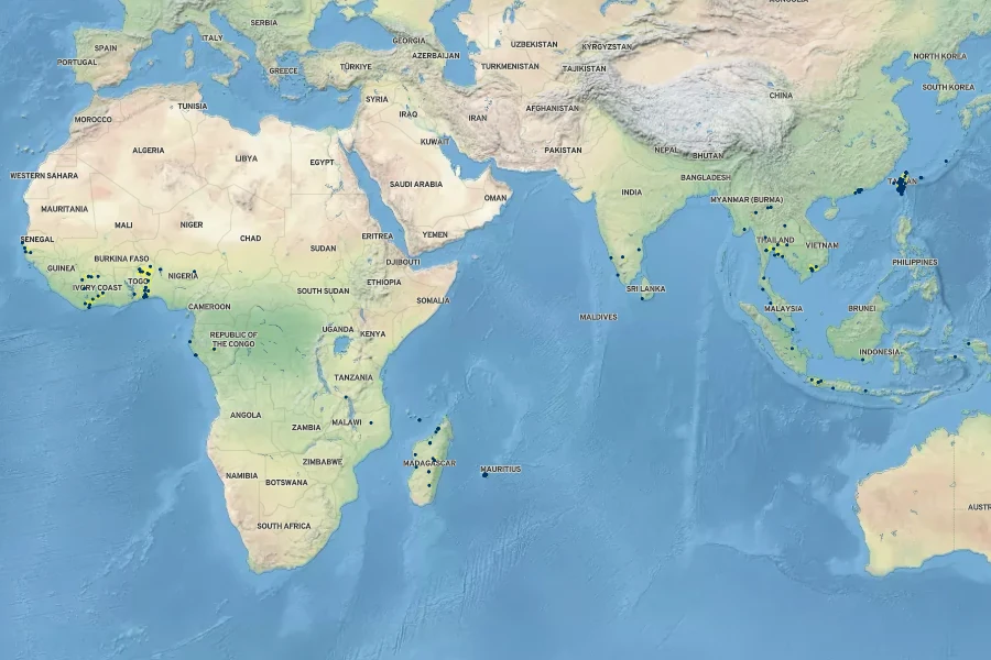 Cenchrus setosus Native Range