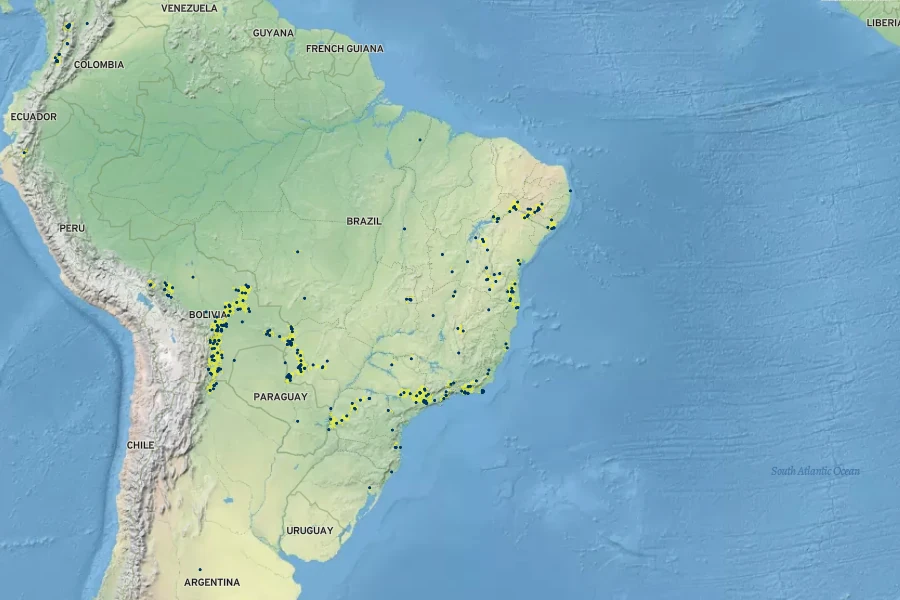 Cenostigma pluviosum Native Range