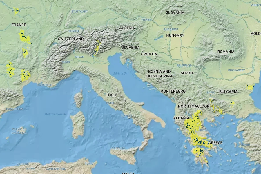 Centaurea affinis Native Range
