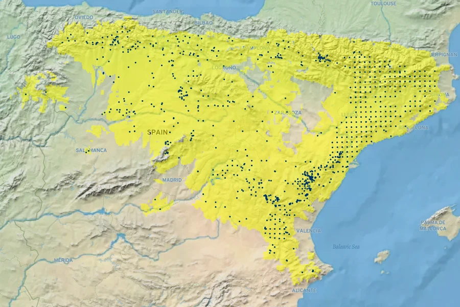 Centaurea cephalariifolia Native Range