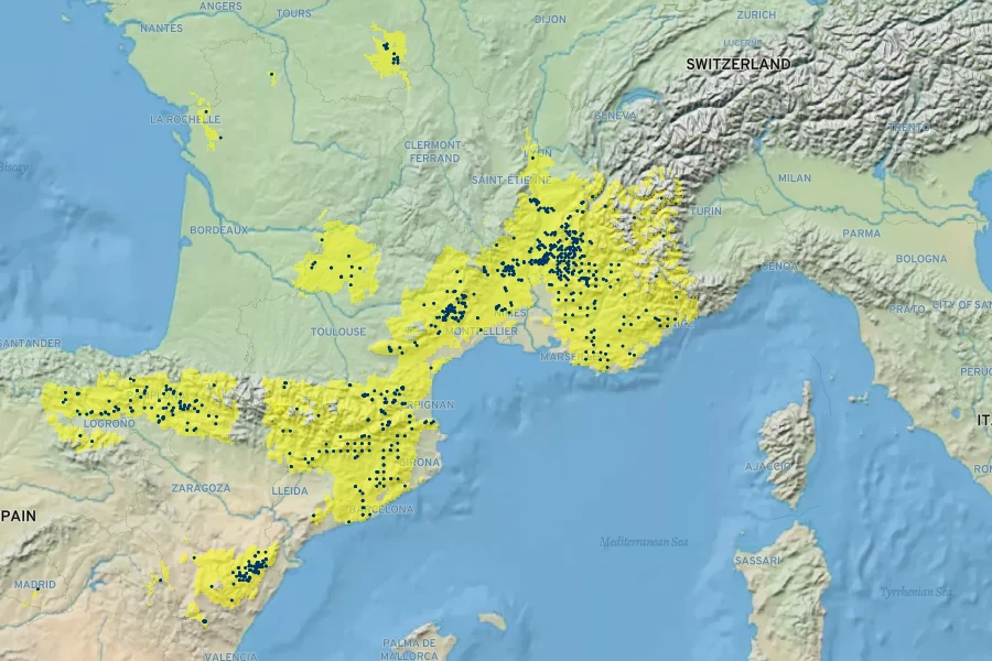 Centaurea triumfettii subsp. semidecurrens Native Range