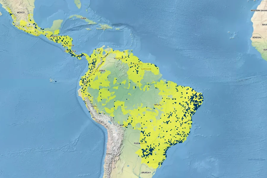 Centratherum punctatum Native Range