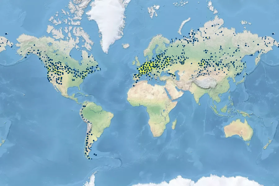 Cerastium arvense Native Range
