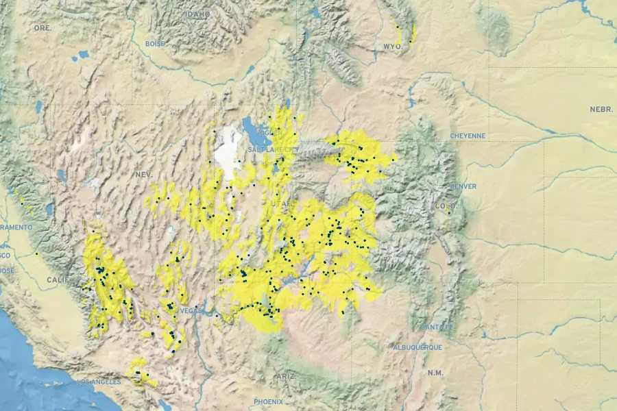 Cercocarpus intricatus Native Range