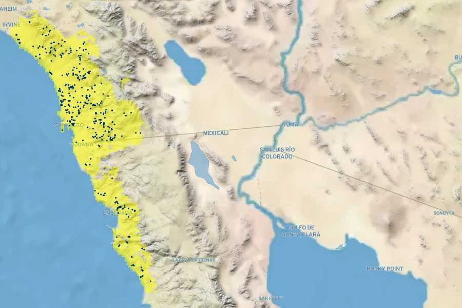 Cercocarpus minutiflorus Native Range