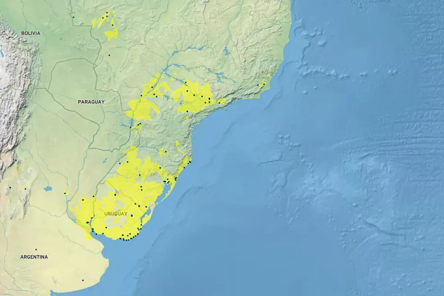 Cereus hildmannianus Native Range