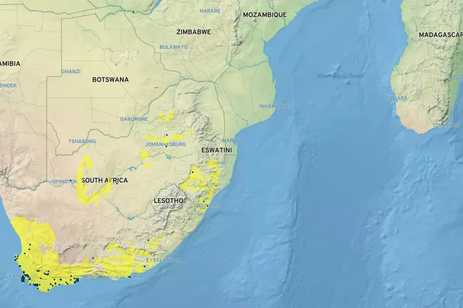 Ceropegia mixta Native Range