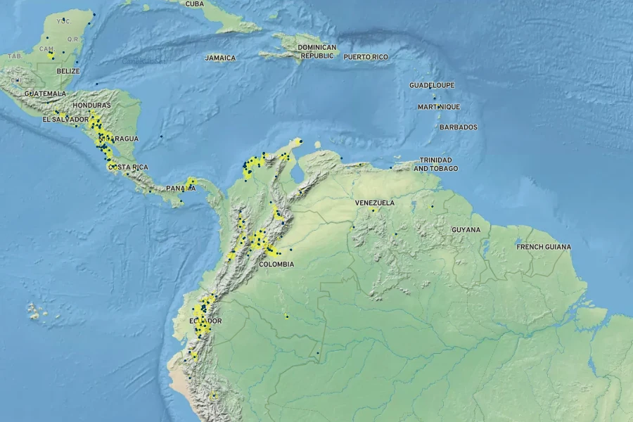 Cestrum alternifolium Native Range