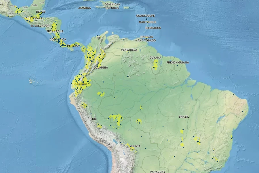 Cestrum megalophyllum Native Range