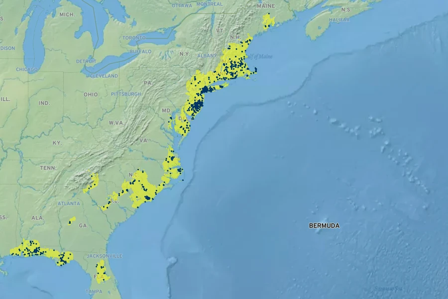 Chamaecyparis thyoides Native Range