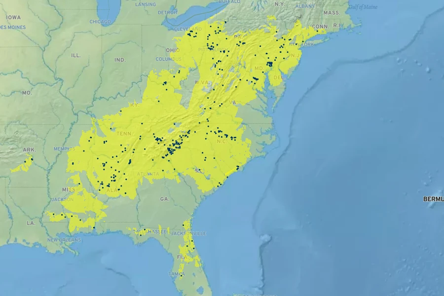 Chamaelirium luteum Native Range