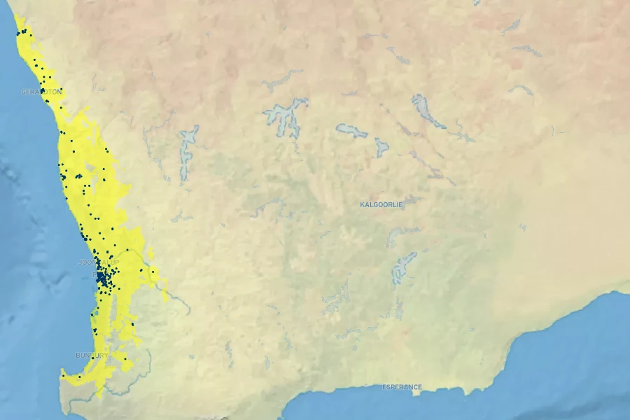 Chamelaucium uncinatum Native Range