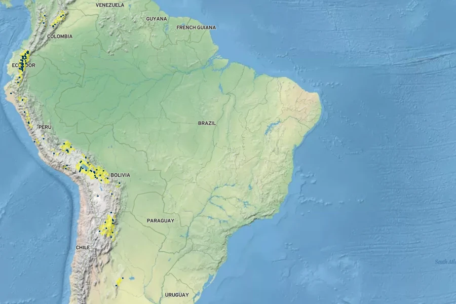 Chenopodium quinoa Native Range