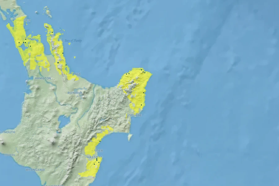 Chionochloa flavicans Native Range