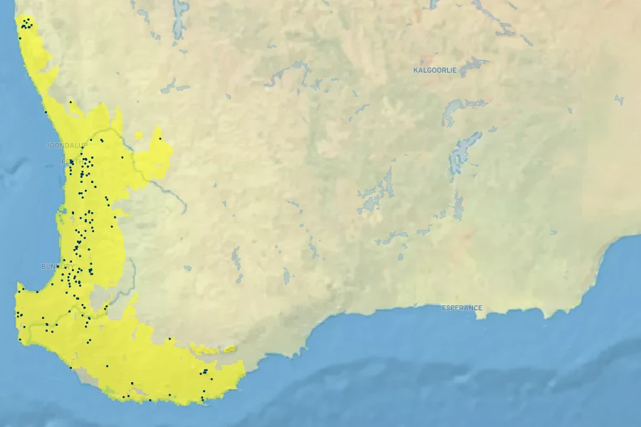 Chorizema cordatum Native Range