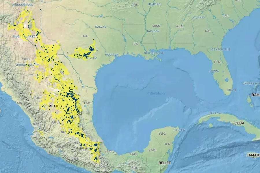 Chrysactinia mexicana Native Range