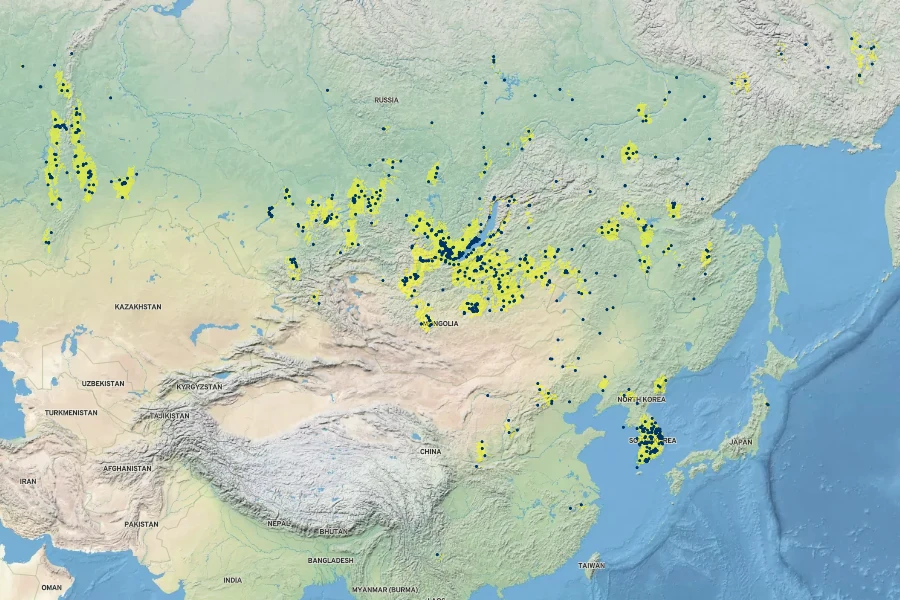 Chrysanthemum zawadzkii Native Range