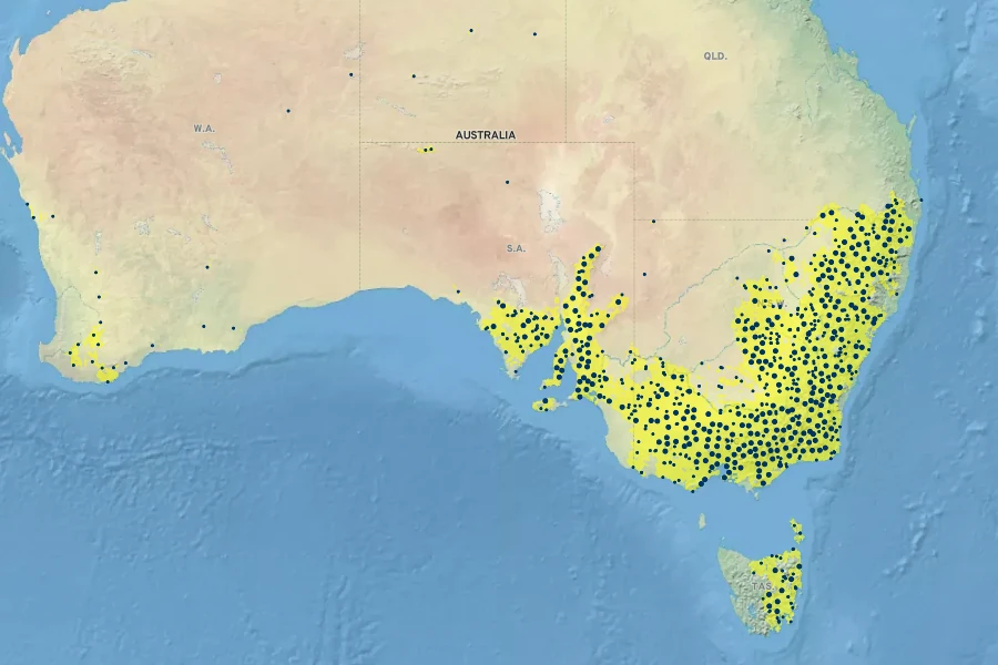 Chrysocephalum semipapposum Native Range