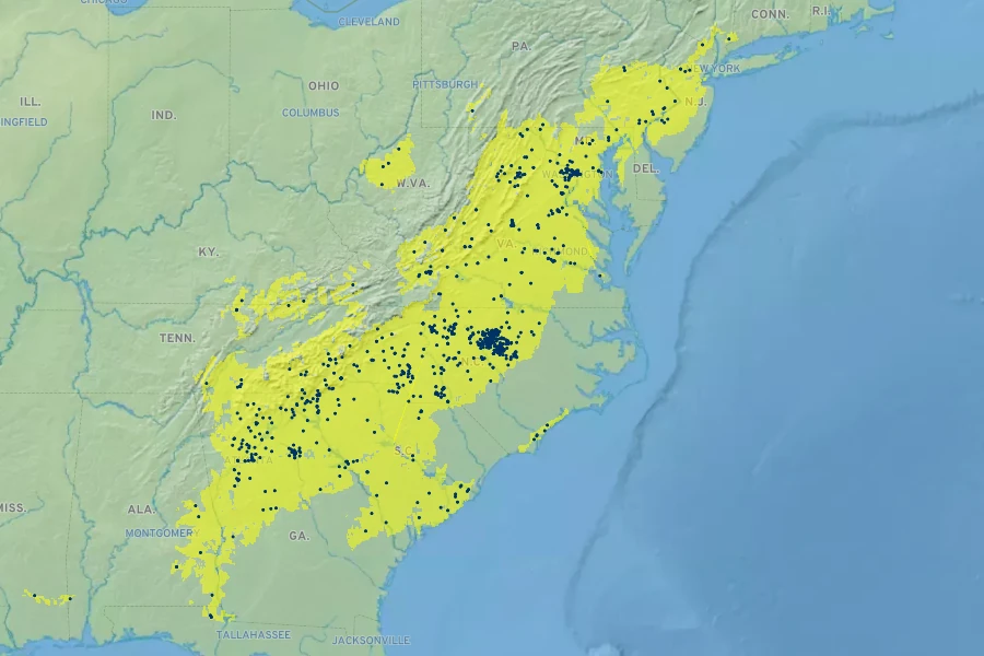 Chrysogonum virginianum Native Range