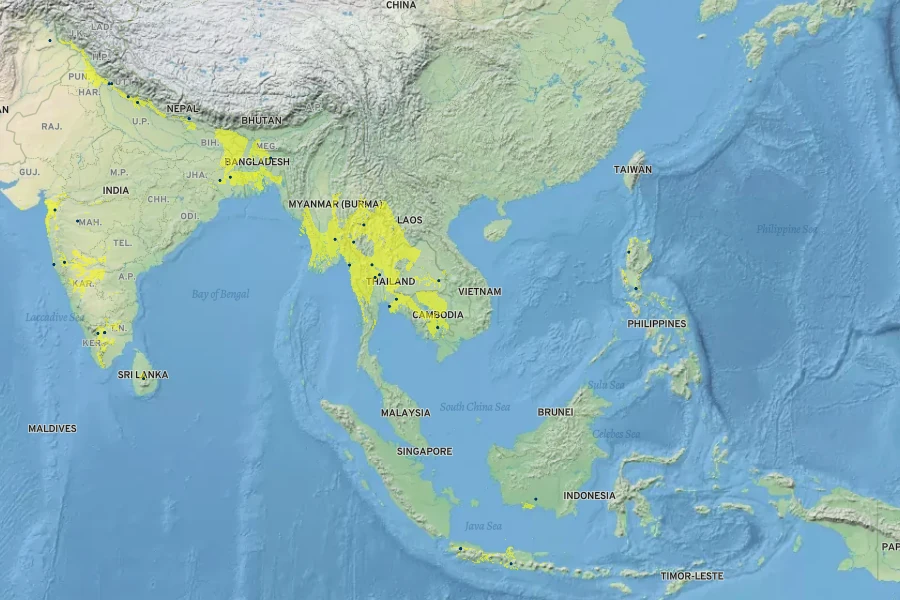 Chrysopogon zizanioides Native Range