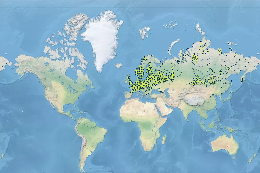 Chrysosplenium alternifolium Native Range