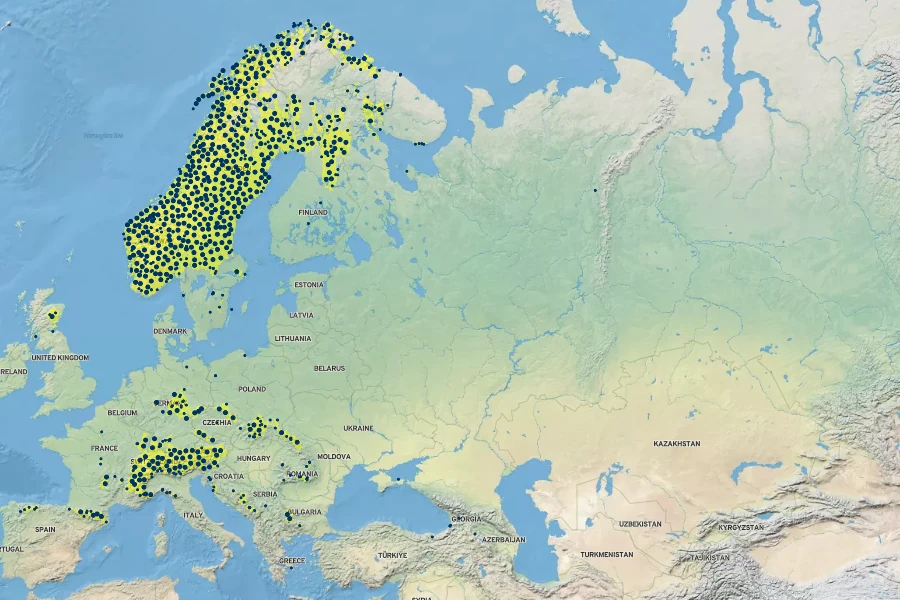 Cicerbita alpina Native Range