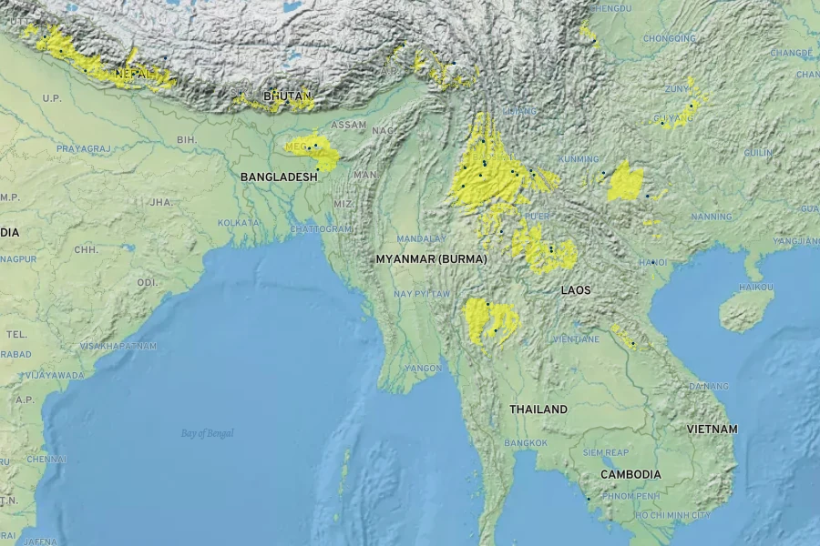 Cinnamomum tamala Native Range