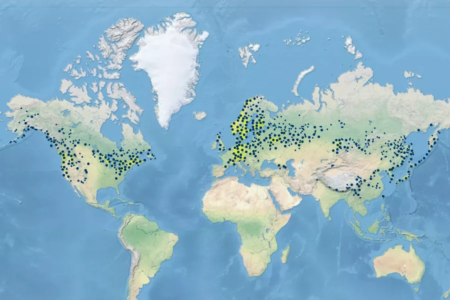Circaea alpina Native Range