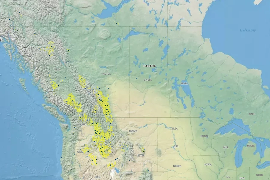 Cirsium foliosum Native Range