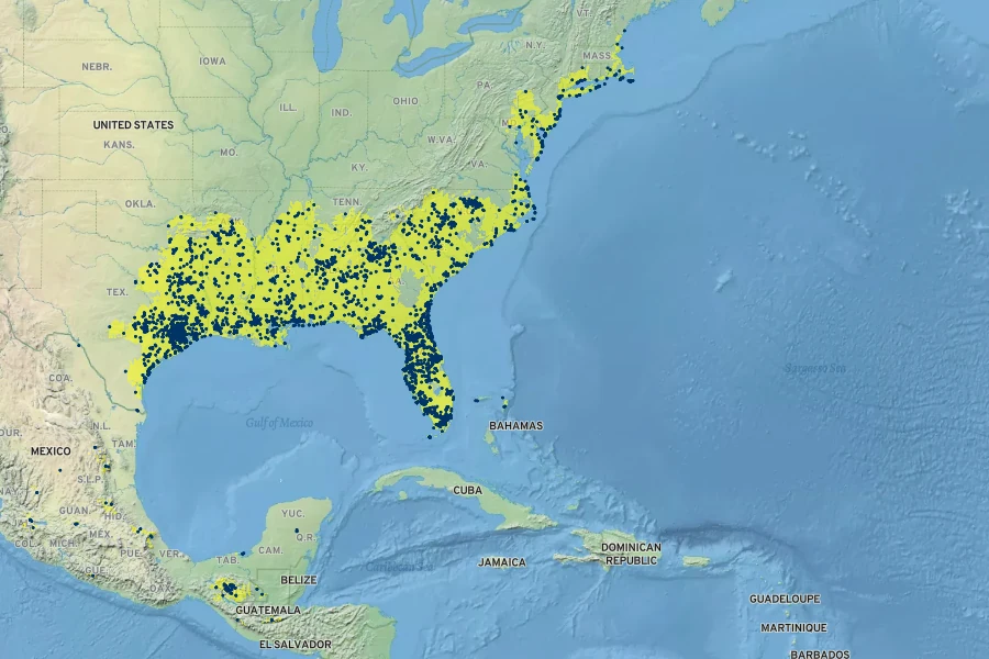 Cirsium horridulum Native Range