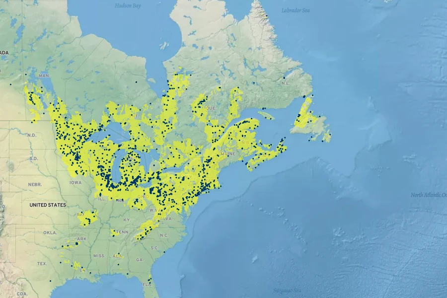 Cirsium muticum Native Range
