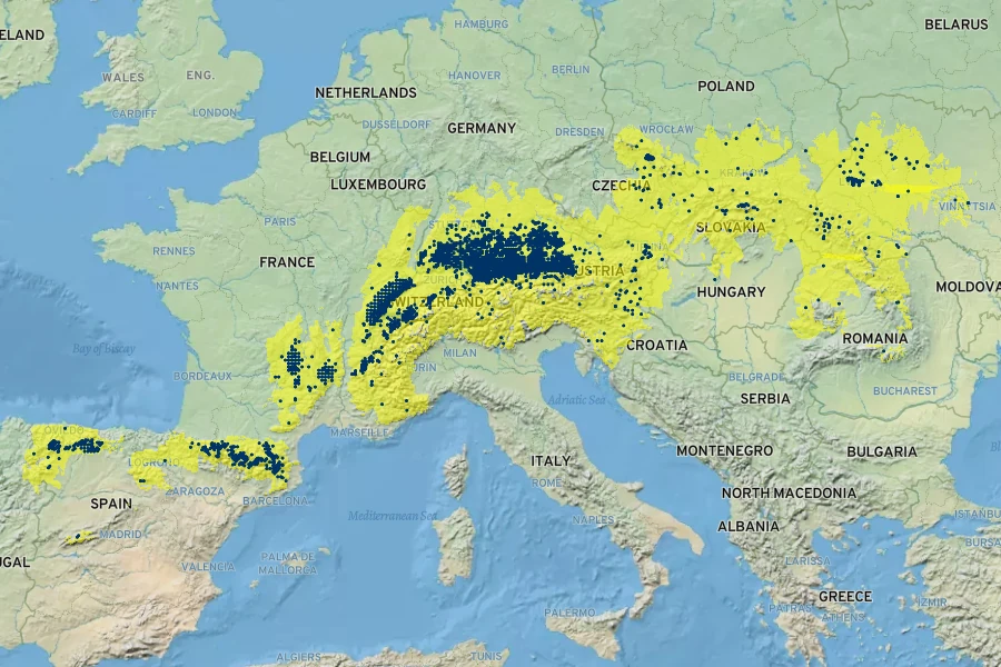 Cirsium rivulare Native Range