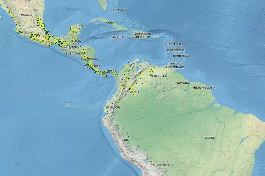 Cissus alata Native Range