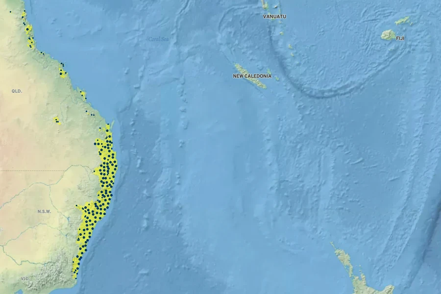 Cissus antarctica Native Range