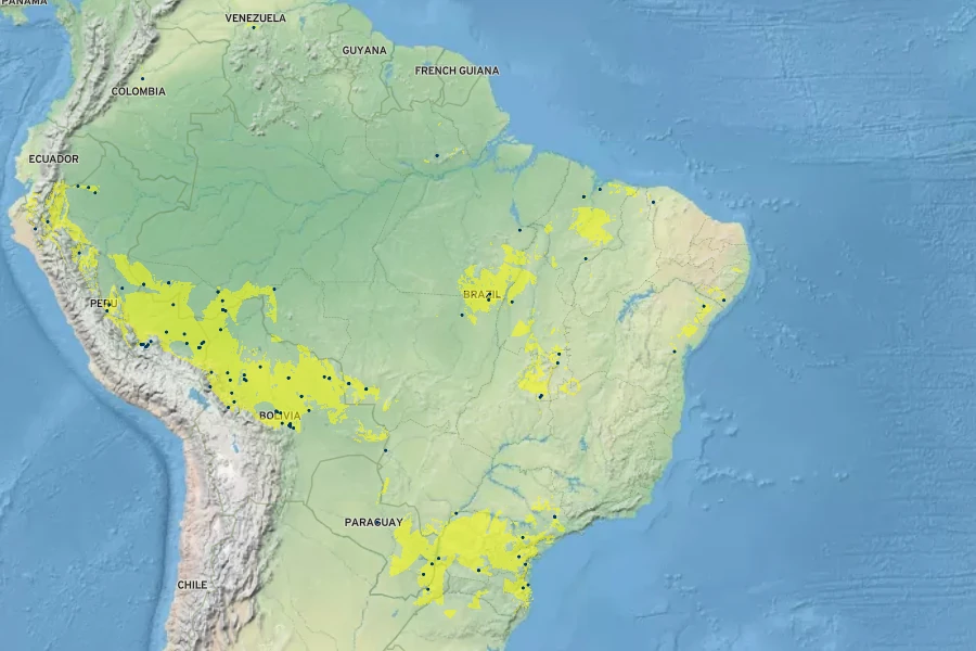 Cissus gongylodes Native Range