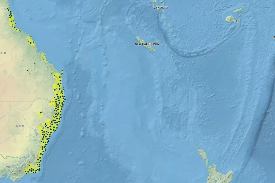 Cissus hypoglauca Native Range