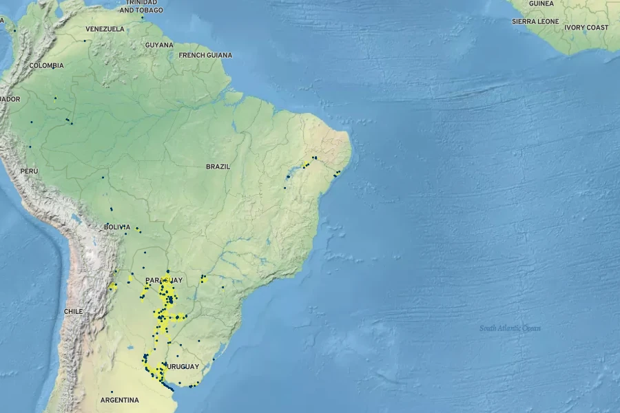 Cissus palmata Native Range