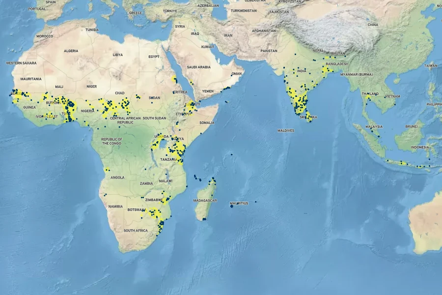 Cissus quadrangularis Native Range