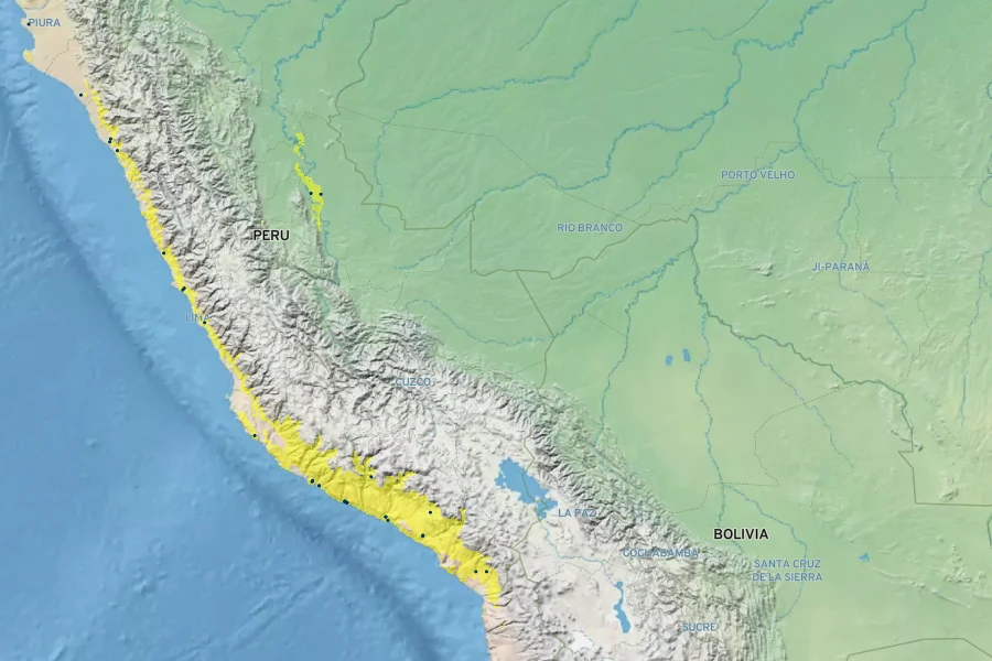 Cistanthe paniculata Native Range
