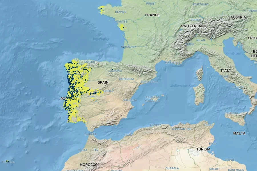 Cistus inflatus Native Range