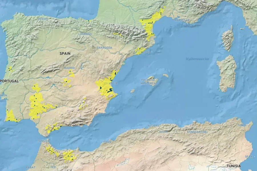 Cistus ×incanus Native Range