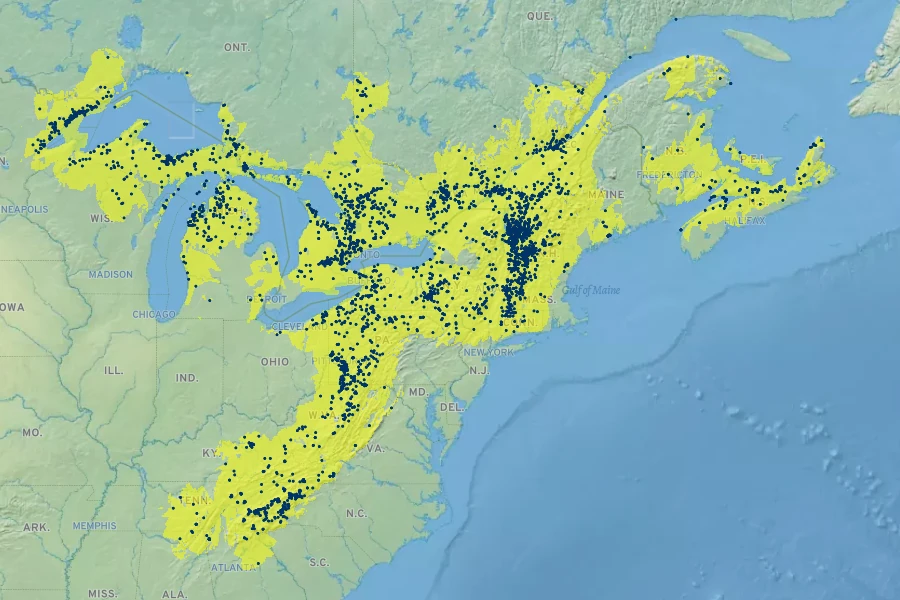 Claytonia caroliniana Native Range