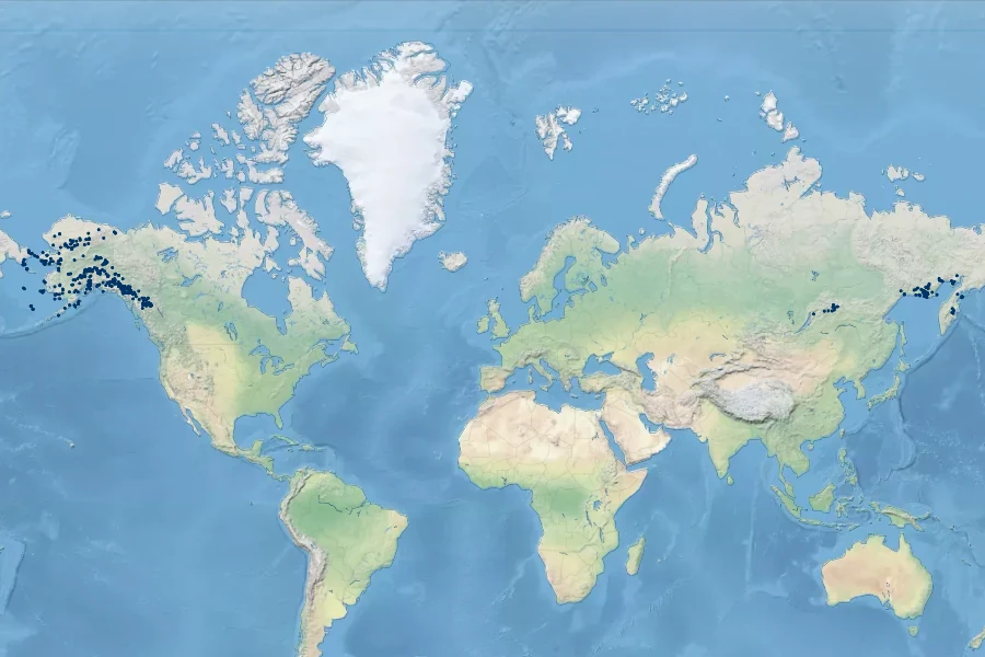 Claytonia sarmentosa Native Range