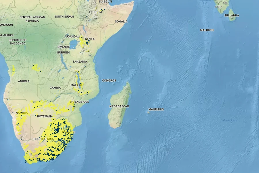 Clematis brachiata Native Range