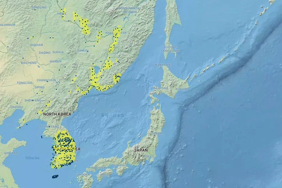 Clematis terniflora var. mandshurica Native Range
