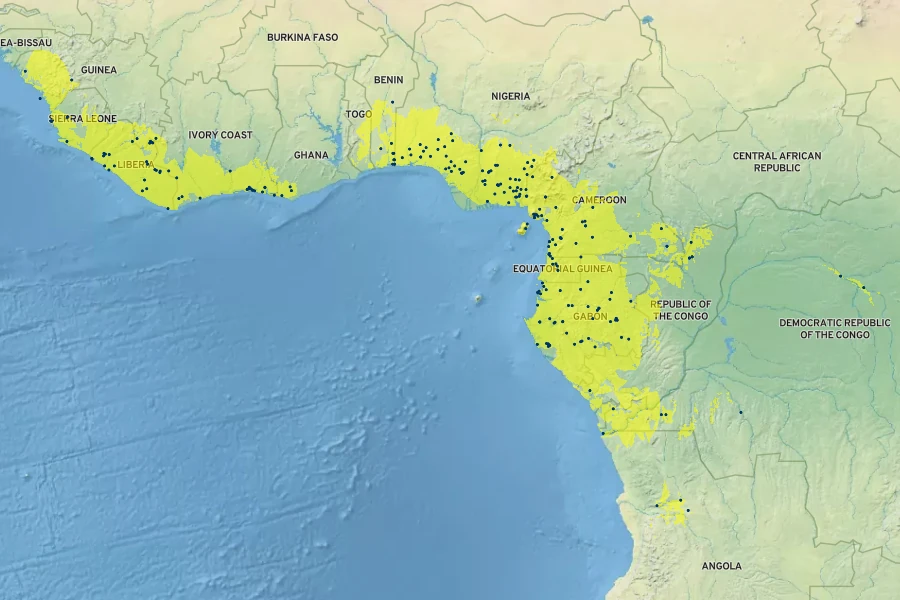 Clerodendrum splendens Native Range