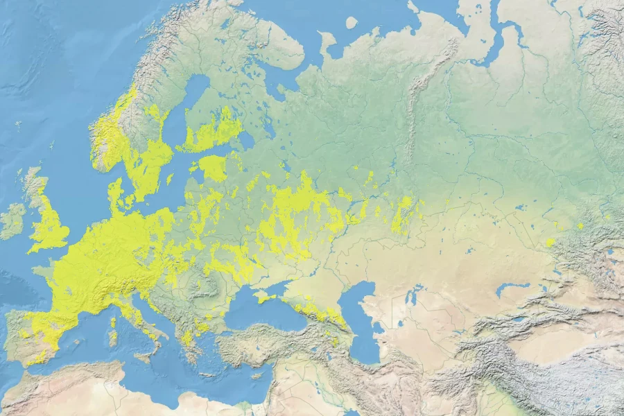 Clinopodium acinos Native Range