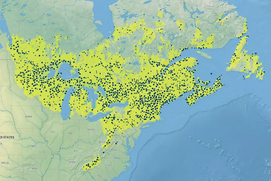 Clintonia borealis Native Range