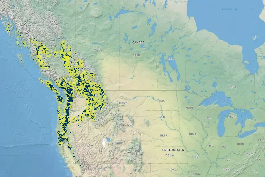 Clintonia uniflora Native Range